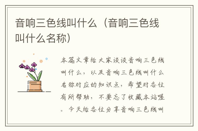 音响三色线叫什么(音响三色线叫什么名称)