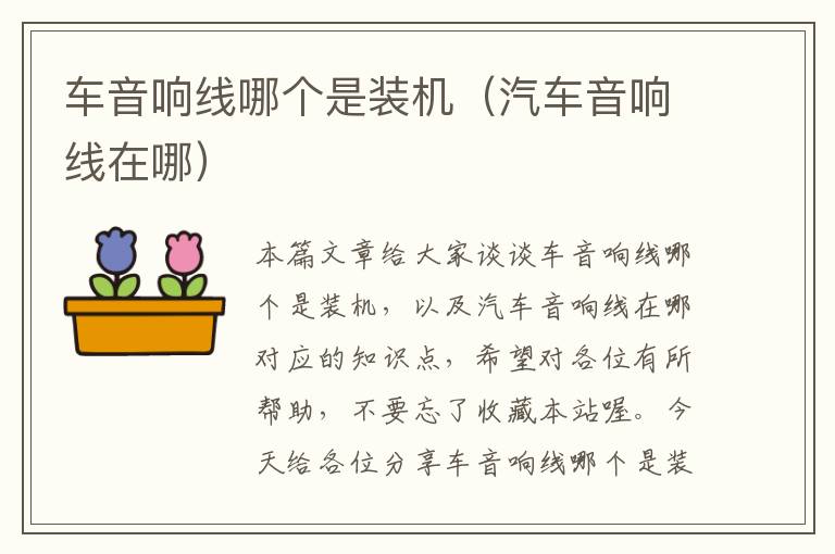 车音响线哪个是装机(汽车音响线在哪)