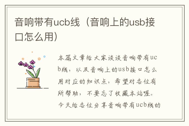 音响带有ucb线(音响上的usb接口怎么用)
