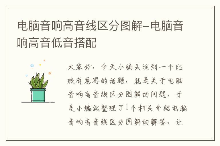 电脑音响高音线区分图解-电脑音响高音低音搭配