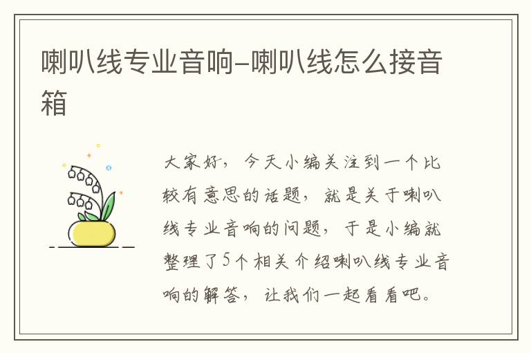 喇叭线专业音响-喇叭线怎么接音箱
