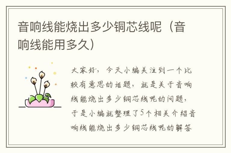 音响线能烧出多少铜芯线呢(音响线能用多久)