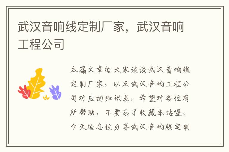 武汉音响线定制厂家,武汉音响工程公司