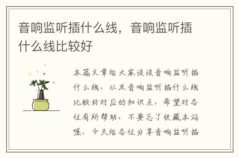 音响监听插什么线,音响监听插什么线比较好