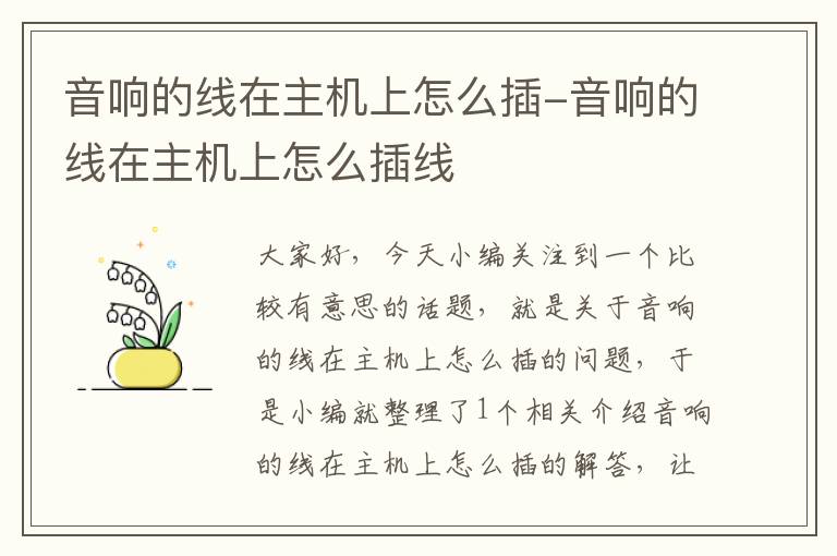 音响的线在主机上怎么插-音响的线在主机上怎么插线