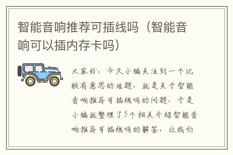 智能音响推荐可插线吗(智能音响可以插内存卡吗)