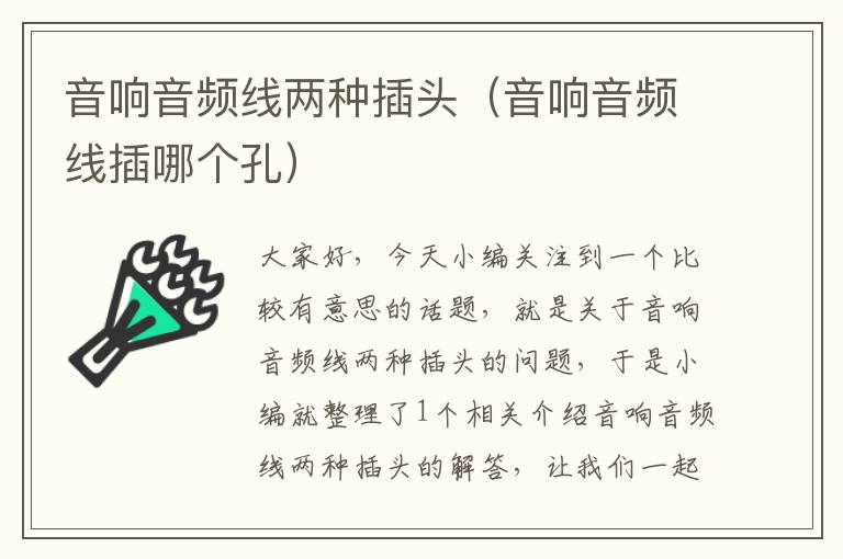 音响音频线两种插头(音响音频线插哪个孔)