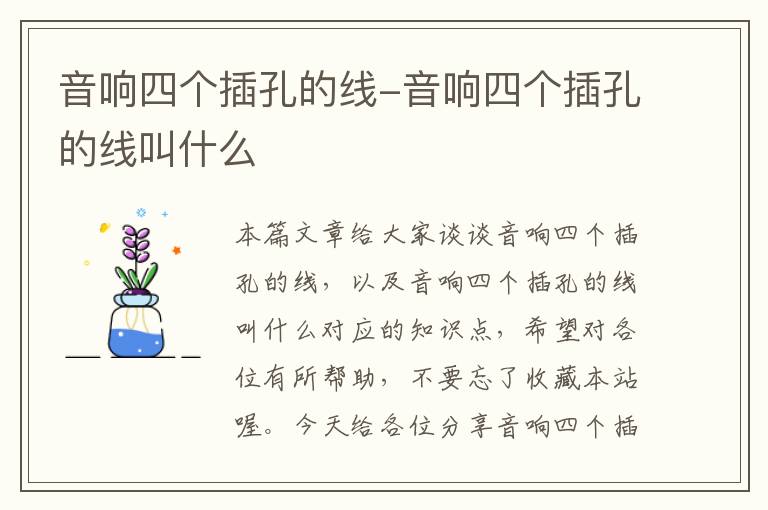 音响四个插孔的线-音响四个插孔的线叫什么