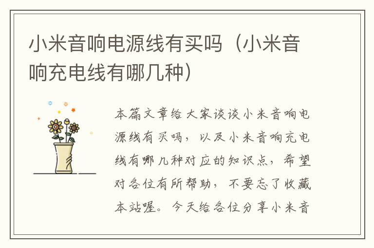 小米音响电源线有买吗(小米音响充电线有哪几种)