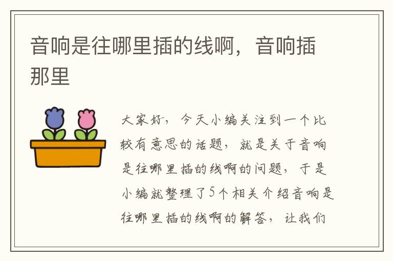 音响是往哪里插的线啊,音响插那里