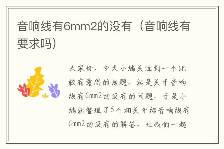 音响线有6mm2的没有(音响线有要求吗)