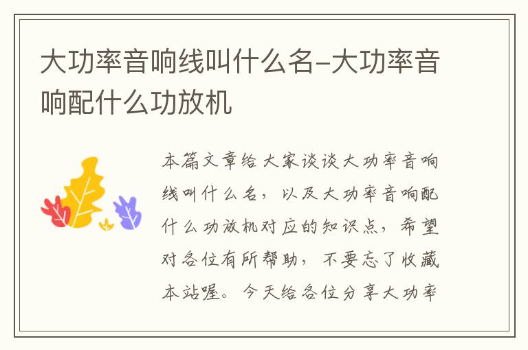 大功率音响线叫什么名-大功率音响配什么功放机