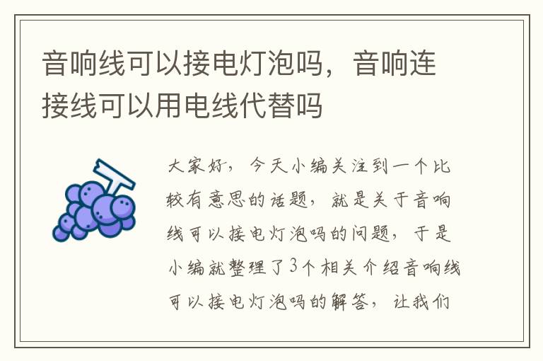 音响线可以接电灯泡吗,音响连接线可以用电线代替吗