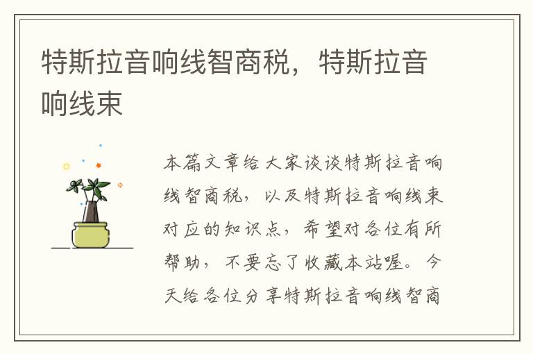 特斯拉音响线智商税,特斯拉音响线束