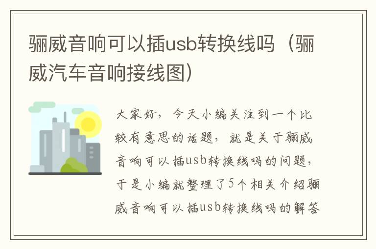 骊威音响可以插usb转换线吗(骊威汽车音响接线图)