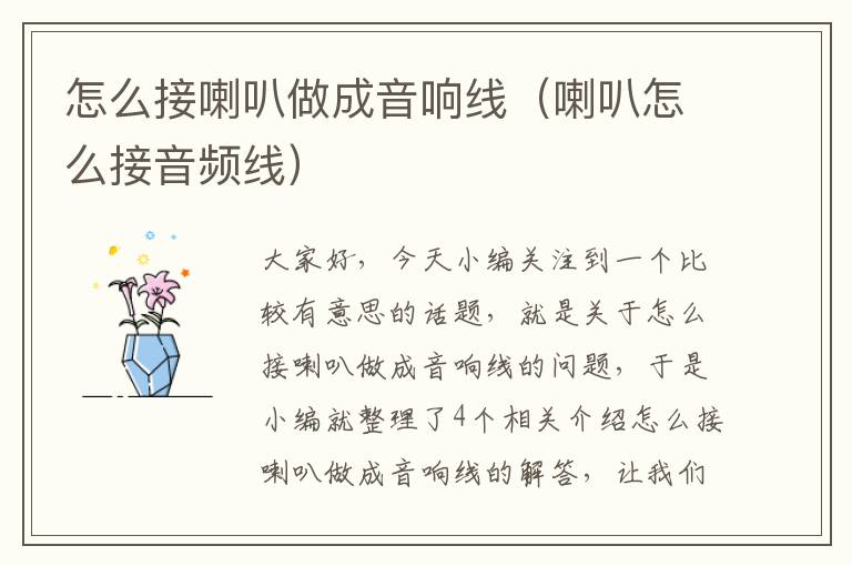 怎么接喇叭做成音响线(喇叭怎么接音频线)