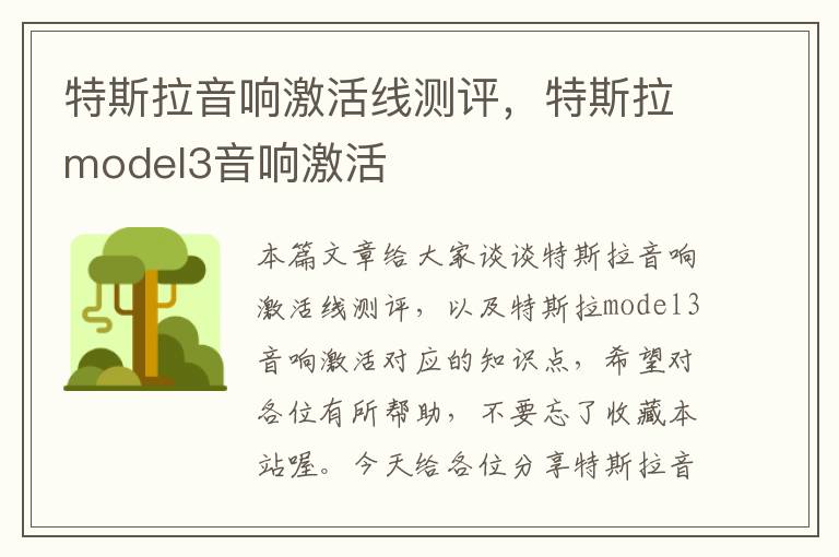 特斯拉音响激活线测评,特斯拉model3音响激活
