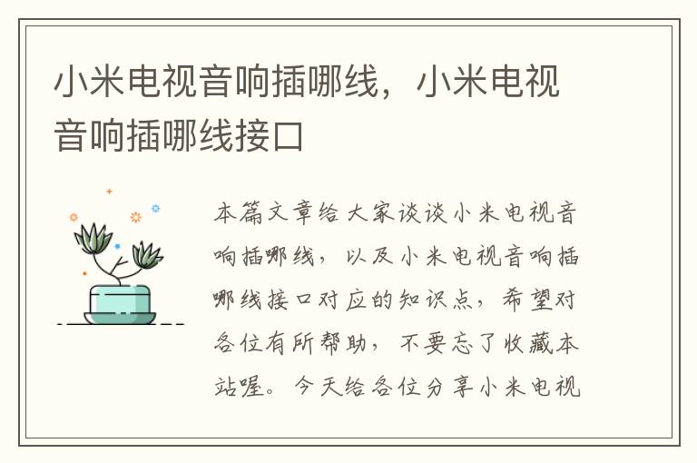 小米电视音响插哪线,小米电视音响插哪线接口