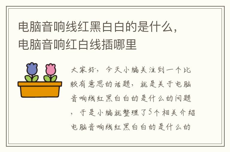 电脑音响线红黑白白的是什么,电脑音响红白线插哪里