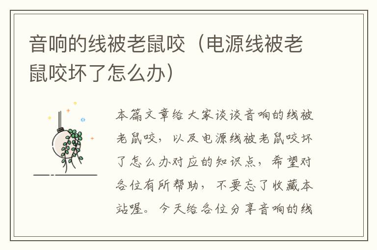 音响的线被老鼠咬(电源线被老鼠咬坏了怎么办)