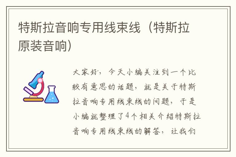 特斯拉音响专用线束线(特斯拉原装音响)