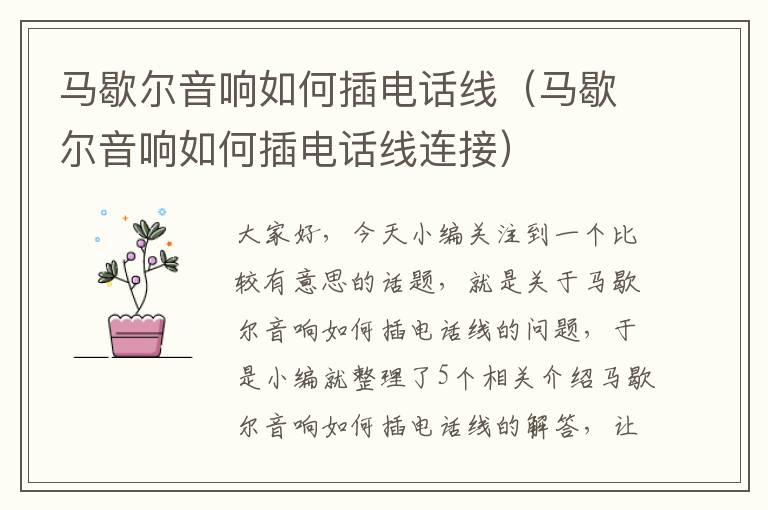马歇尔音响如何插电话线(马歇尔音响如何插电话线连接)