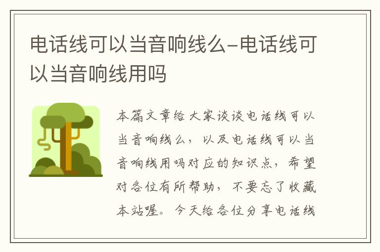 电话线可以当音响线么-电话线可以当音响线用吗