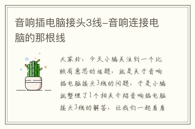 音响插电脑接头3线-音响连接电脑的那根线