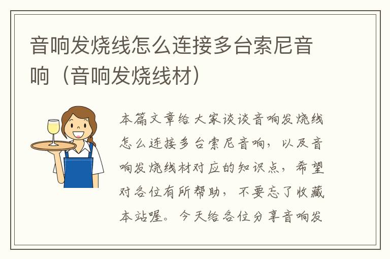 音响发烧线怎么连接多台索尼音响(音响发烧线材)