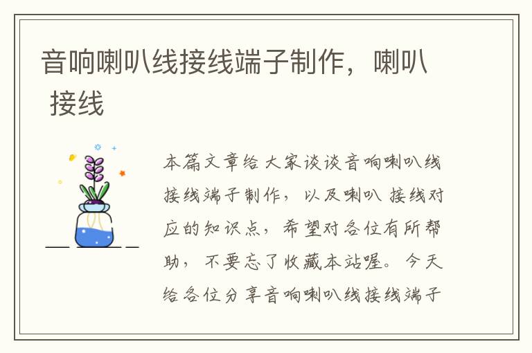音响喇叭线接线端子制作,喇叭 接线