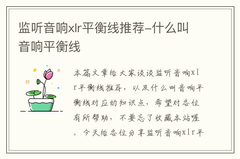 监听音响xlr平衡线推荐-什么叫音响平衡线