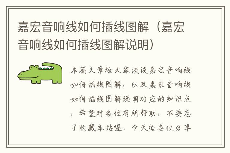 嘉宏音响线如何插线图解(嘉宏音响线如何插线图解说明)
