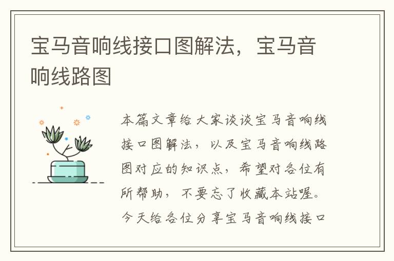 宝马音响线接口图解法,宝马音响线路图