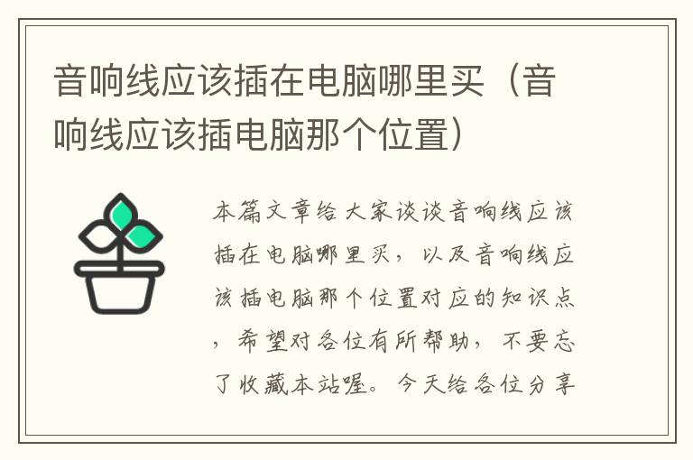 音响线应该插在电脑哪里买(音响线应该插电脑那个位置)