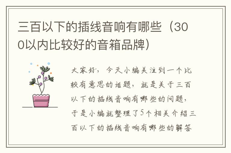 三百以下的插线音响有哪些(300以内比较好的音箱品牌)