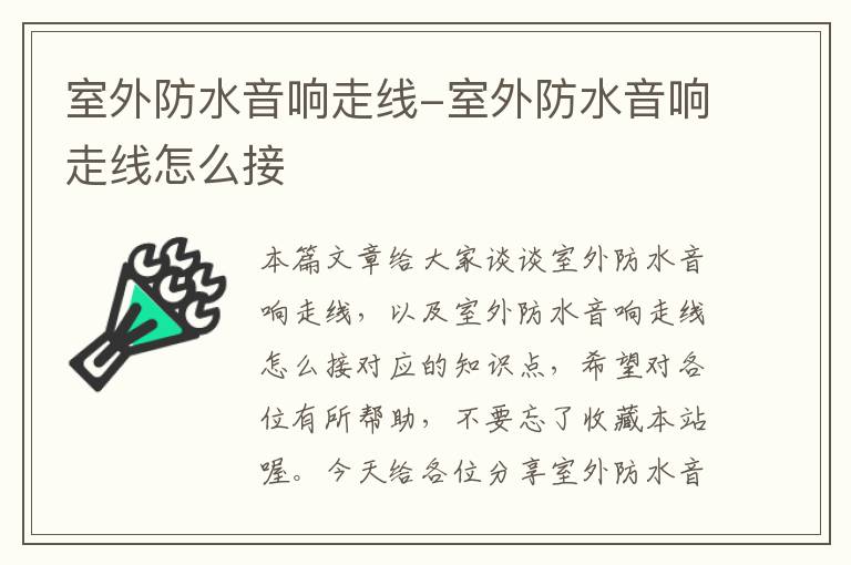 室外防水音响走线-室外防水音响走线怎么接