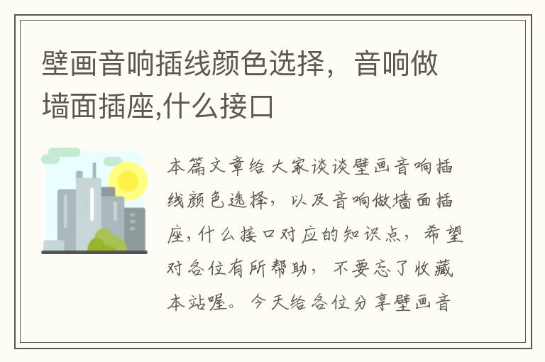 壁画音响插线颜色选择,音响做墙面插座,什么接口