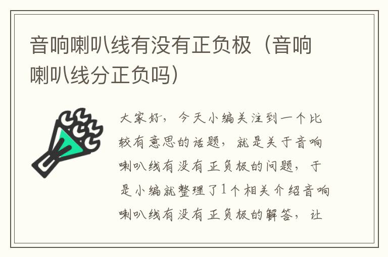 音响喇叭线有没有正负极(音响喇叭线分正负吗)
