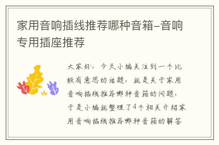 家用音响插线推荐哪种音箱-音响专用插座推荐