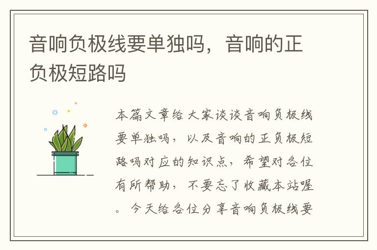 音响负极线要单独吗,音响的正负极短路吗