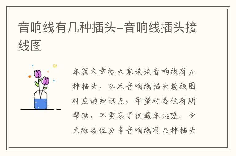 音响线有几种插头-音响线插头接线图