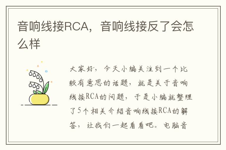 音响线接RCA,音响线接反了会怎么样