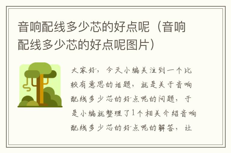 音响配线多少芯的好点呢(音响配线多少芯的好点呢图片)