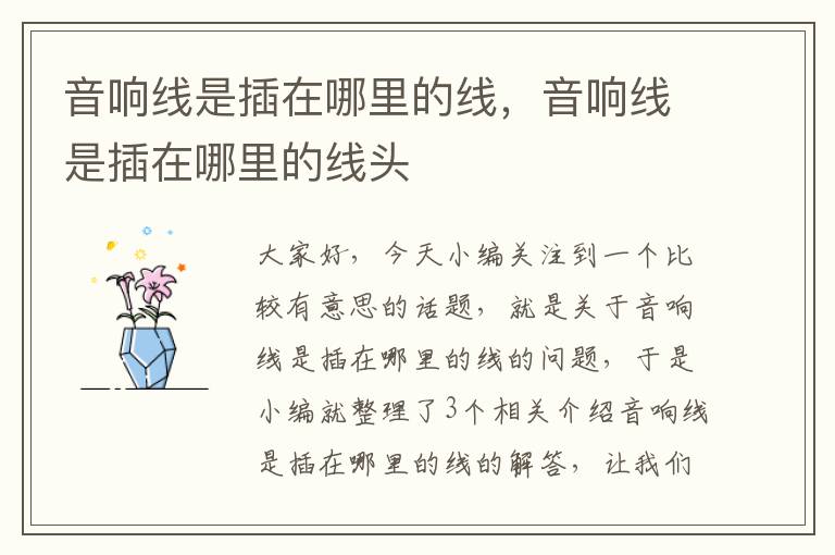 音响线是插在哪里的线,音响线是插在哪里的线头