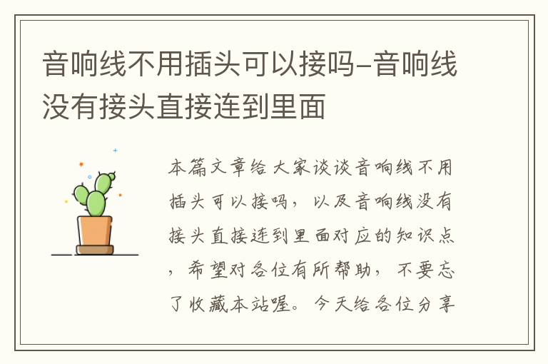 音响线不用插头可以接吗-音响线没有接头直接连到里面