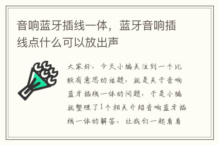 音响蓝牙插线一体,蓝牙音响插线点什么可以放出声