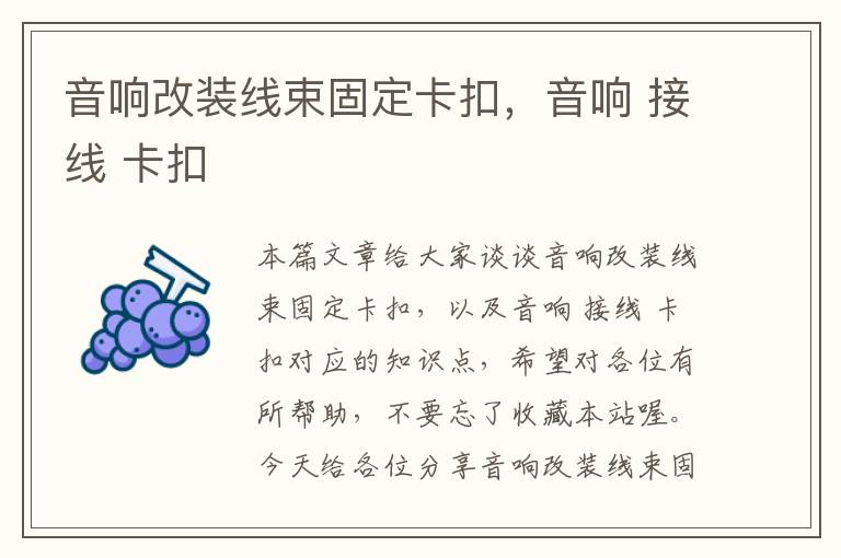 音响改装线束固定卡扣，音响 接线 卡扣