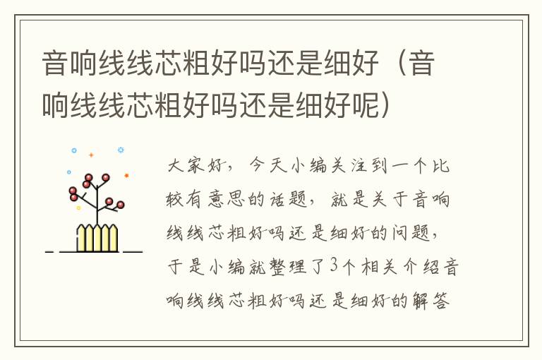 音响线线芯粗好吗还是细好(音响线线芯粗好吗还是细好呢)