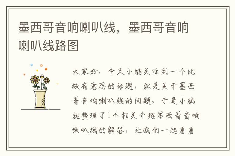 墨西哥音响喇叭线,墨西哥音响喇叭线路图