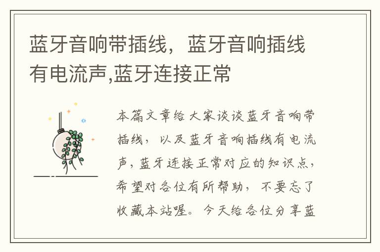 蓝牙音响带插线,蓝牙音响插线有电流声,蓝牙连接正常